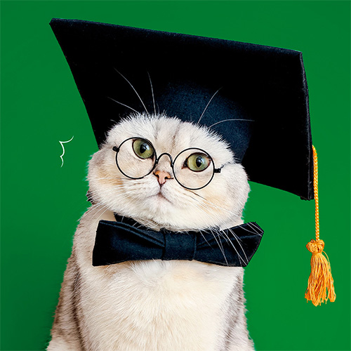 株式会社国際会館